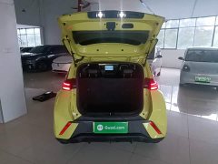 BYD Seagull Glory Edition 305km Vitality Version - ფოტო 19
