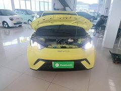 BYD Seagull Glory Edition 305km Vitality Version - ფოტო 20