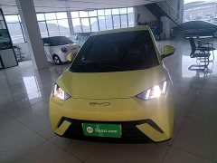 BYD Seagull Glory Edition 305km Vitality Version - ფოტო 3