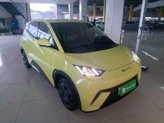 BYD Seagull Glory Edition 305km Vitality Version - ფოტო 4