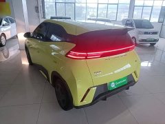 BYD Seagull Glory Edition 305km Vitality Version - ფოტო 5