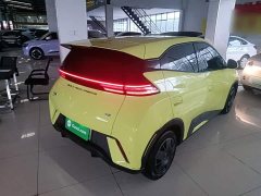 BYD Seagull Glory Edition 305km Vitality Version - ფოტო 7