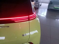 BYD Seagull Glory Edition 305km Vitality Version - ფოტო 8