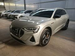 Audi e-tron 2021 50 quattro Premium - ფოტო 2