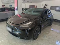 Tesla Model Y Rear-Wheel Drive - ფოტო 1
