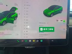 Tesla Model Y Rear-Wheel Drive - ფოტო 12