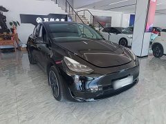 Tesla Model Y Rear-Wheel Drive - ფოტო 4