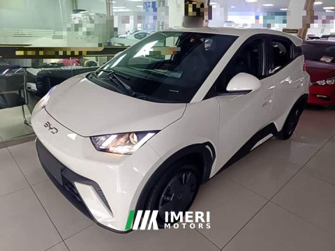 2025 BYD Seagull 2023 Vitality Edition - ავტომობილი ჩინეთიდან