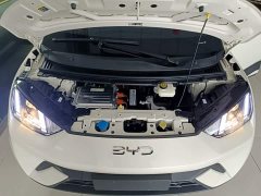 BYD Seagull 2023 Vitality Edition - ფოტო 20