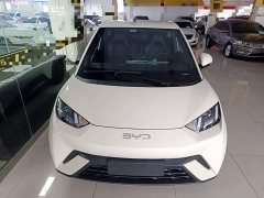 BYD Seagull 2023 Vitality Edition - ფოტო 3