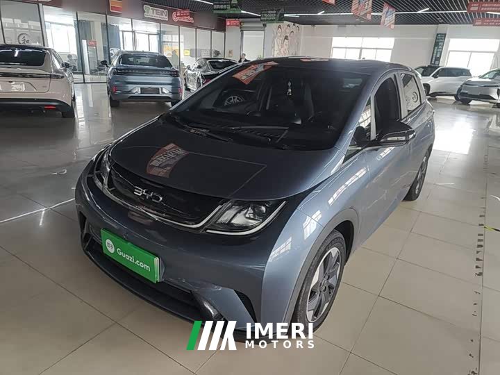 BYD Dolphin Glory Edition 420km Freedom Version - ავტომობილი ჩინეთიდან