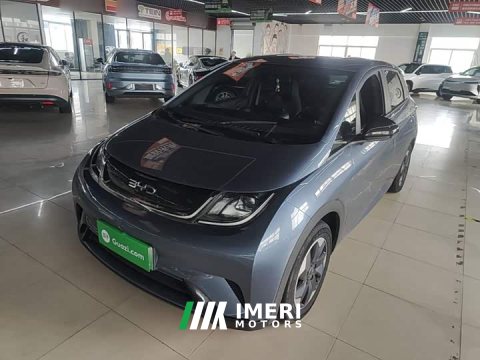 2024 BYD Dolphin Glory Edition 420km Freedom Version - ავტომობილი ჩინეთიდან