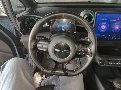 BYD Dolphin Glory Edition 420km Freedom Version - ფოტო 11