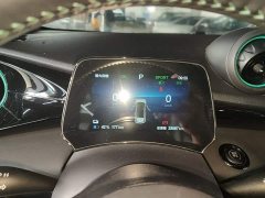 BYD Dolphin Glory Edition 420km Freedom Version - ფოტო 12