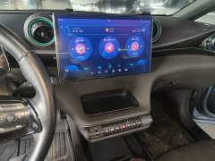 BYD Dolphin Glory Edition 420km Freedom Version - ფოტო 13