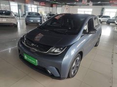 BYD Dolphin Glory Edition 420km Freedom Version - ფოტო 2
