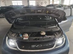 BYD Dolphin Glory Edition 420km Freedom Version - ფოტო 20