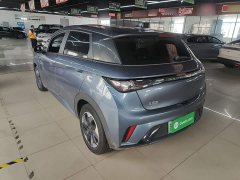 BYD Dolphin Glory Edition 420km Freedom Version - ფოტო 5