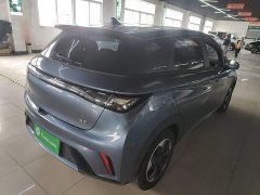BYD Dolphin Glory Edition 420km Freedom Version - ფოტო 7
