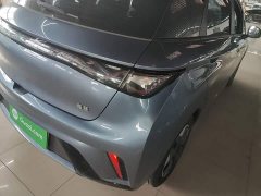 BYD Dolphin Glory Edition 420km Freedom Version - ფოტო 8
