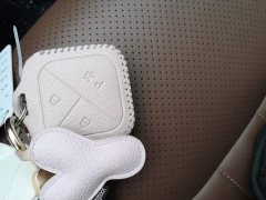 Wuling Binguo 333km Lingxi Connected Plus - ფოტო 9