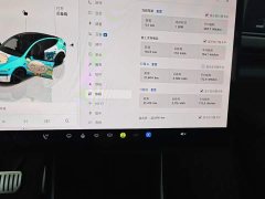 Tesla Model Y Rear-Wheel Drive - ფოტო 12