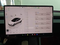 Tesla Model 3 Rear-Wheel Drive - ფოტო 12