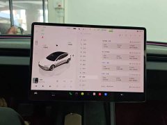 Tesla Model 3 Rear-Wheel Drive - ფოტო 13