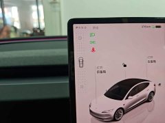 Tesla Model 3 Rear-Wheel Drive - ფოტო 14
