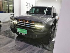 Tank 300 Off-Road Edition 2.0T Conqueror - ფოტო 1