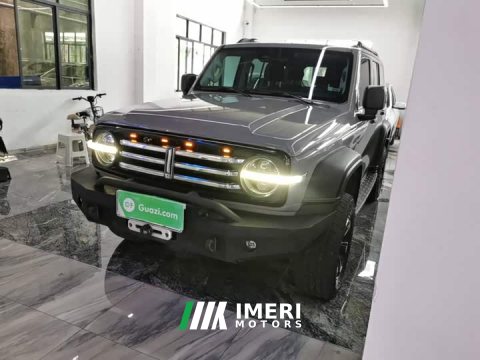2021 Tank 300 Off-Road Edition 2.0T Conqueror - ავტომობილი ჩინეთიდან