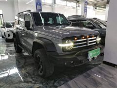 Tank 300 Off-Road Edition 2.0T Conqueror - ფოტო 4