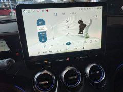 Smart #3 Pulse AWD - ფოტო 13