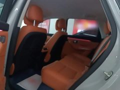 Leapmotor Leapo C10 530 Comfort Edition - ფოტო 17