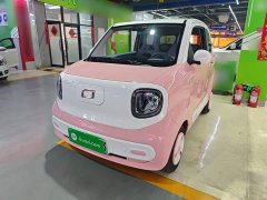 FAW Besturn Xiaoma 170km Vitality Edition - ფოტო 1