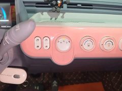 FAW Besturn Xiaoma 170km Vitality Edition - ფოტო 14
