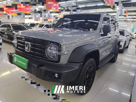 2021 Tank 300 Off-Road Edition 2.0T Challenger - ავტომობილი ჩინეთიდან