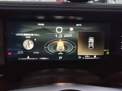 Tank 300 Off-Road Edition 2.0T Challenger - ფოტო 12