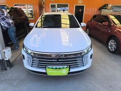 BYD Destroyer 05 2023 Champion Edition DM-i 120KM Luxury - ფოტო 3