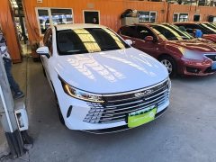 BYD Destroyer 05 2023 Champion Edition DM-i 120KM Luxury - ფოტო 4