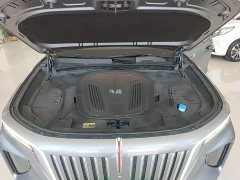 FAW Red Flag E-HS9 2022 660km Range Flagship Edition Six-Seater - ფოტო 20