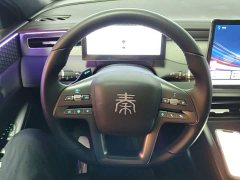 BYD Qin PLUS EV Intelligent Driving Edition 510KM Leading - ფოტო 11