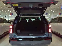 GAC AION V Aion Tyrannosaurus 650 Smart Premium Edition - ფოტო 19