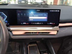 BMW 5 Series 530Li Luxury M Sport Package - ფოტო 13