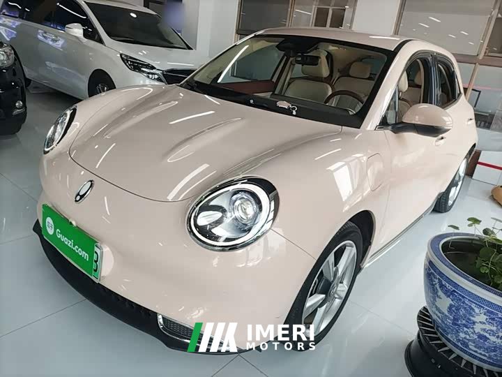 ORA Good Cat 401km Standard Range Luxury LFP