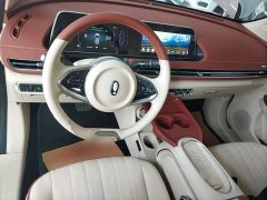 ORA Good Cat 401km Standard Range Luxury LFP - ფოტო 10