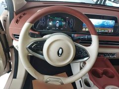 ORA Good Cat 401km Standard Range Luxury LFP - ფოტო 11