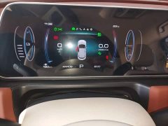 ORA Good Cat 401km Standard Range Luxury LFP - ფოტო 12