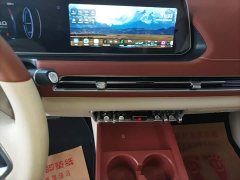 ORA Good Cat 401km Standard Range Luxury LFP - ფოტო 13