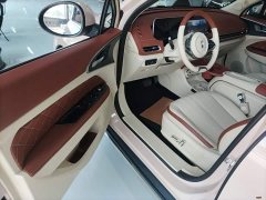 ORA Good Cat 401km Standard Range Luxury LFP - ფოტო 16